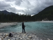 Barry Catching Dinner