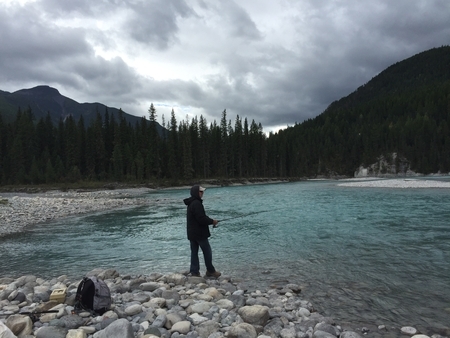 Barry Catching Dinner