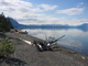 Camping at Atlin Lake