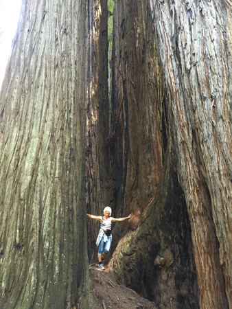 Friendly Giant - California